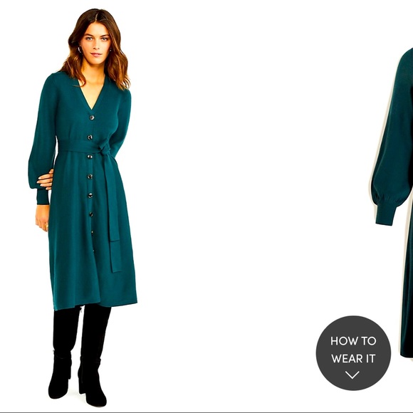 Ann Taylor Button Front Sweater Dress 